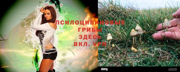экстази Алексеевка