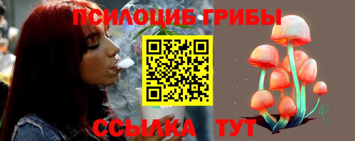 Псилоцибиновые грибы мухоморы  Галлюциногенные грибы Magic Shrooms  Краснознаменск  Вход с VPN 